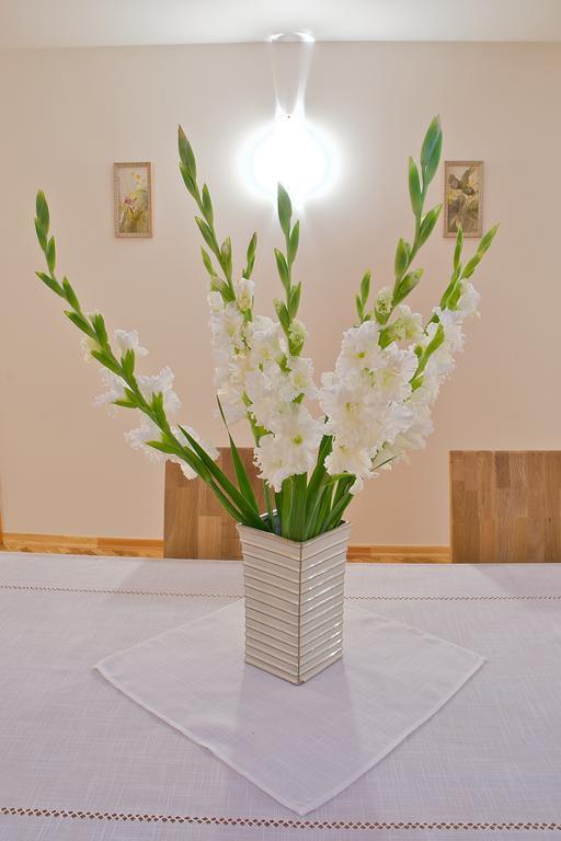 Viesu Maja Janis Hotel Мадона Екстериор снимка